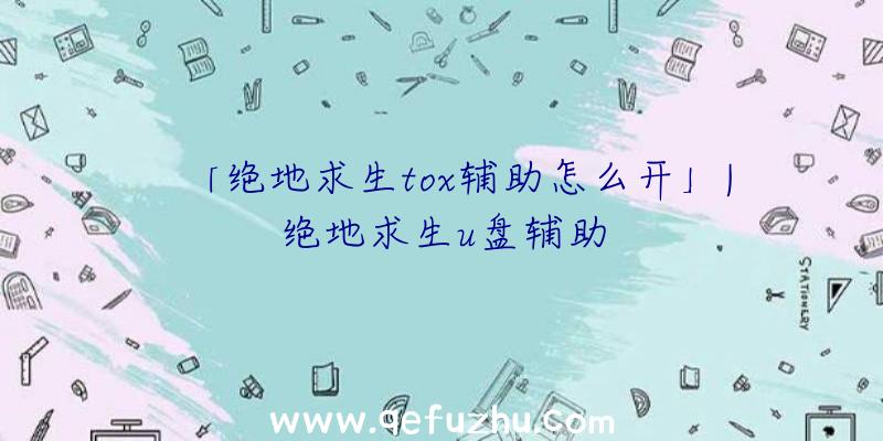「绝地求生tox辅助怎么开」|绝地求生u盘辅助